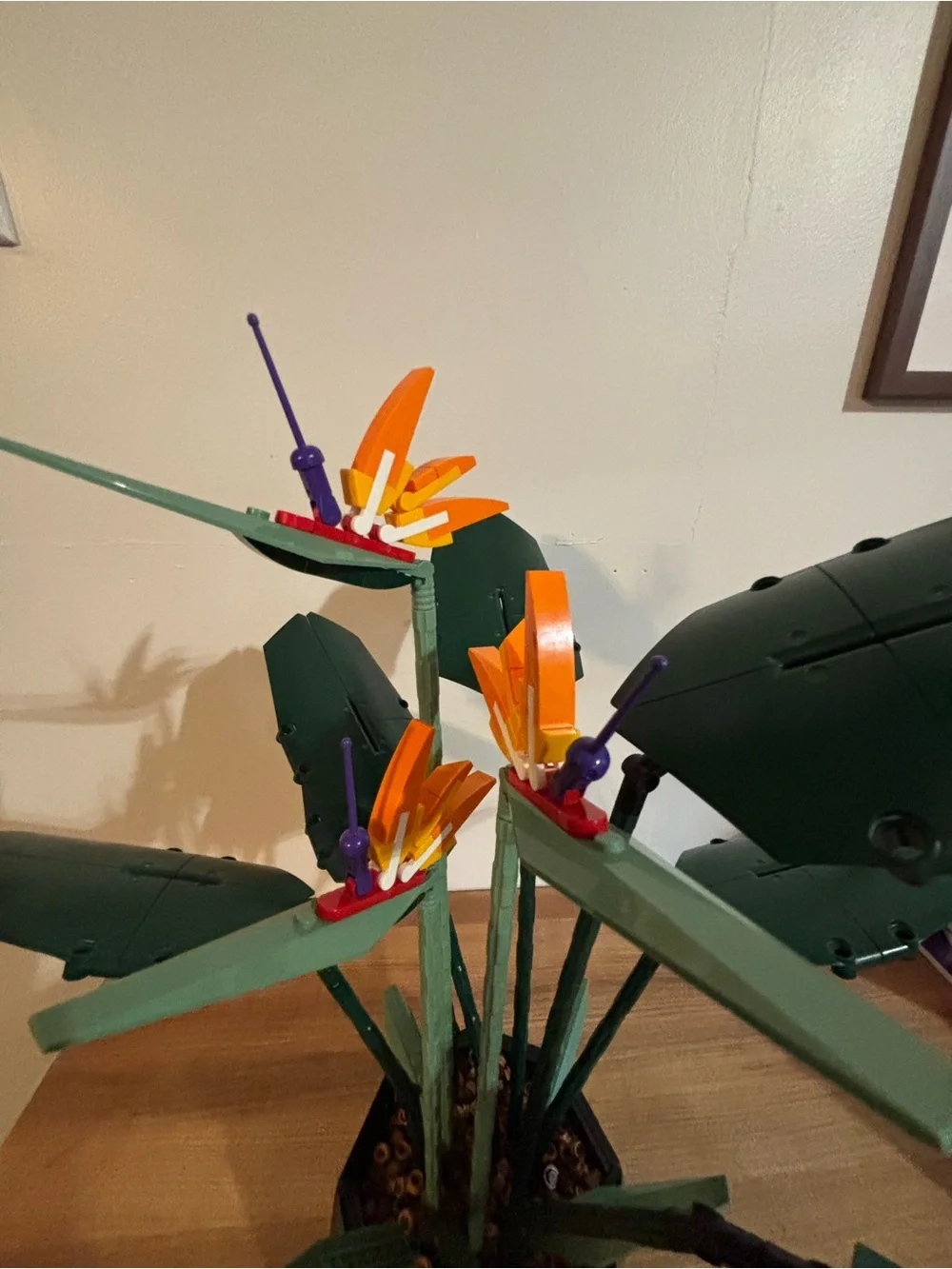 LEGO Botanicals Bird of Paradise 10289 Retired Set